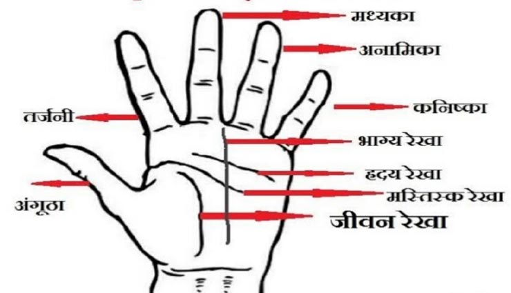 हथेली की ये 5 रेखाएं बताती हैं धन की संपन्नता, दर्शाती है जीवन की सुख-सुविधा