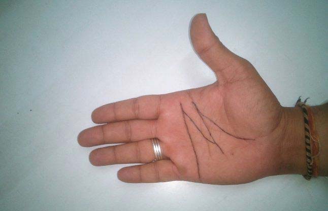 palmistry,money,wealth