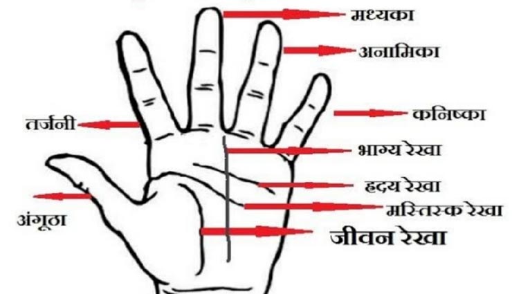 astrology tips,astrology tips in hindi,palmistry,financial losse