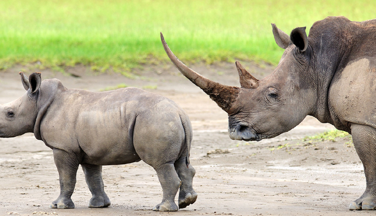 wildlife sanctuaries,wildlife sanctuaries to visit in india,places to visit in india,india