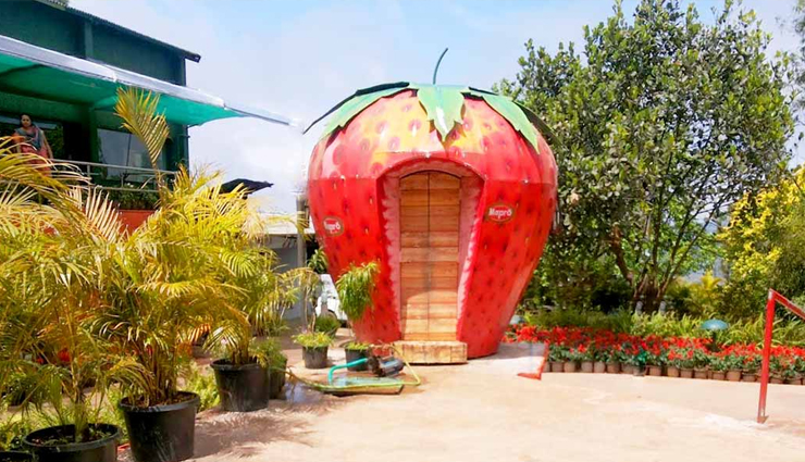 perfect picnic spot,places near pune perfect picnic spot,travel,travel guide