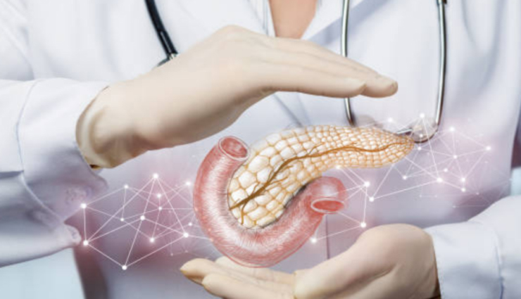 10 Foods That Help in Healing The Pancreas and Maintaining its Health
