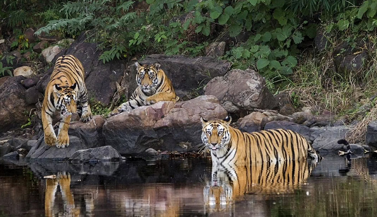 panna,places to visit near panna,tourist destinations near panna,ajaigarh fort,baldeoji temple,diamond mines,panna national park,pandav falls,brihaspati kund