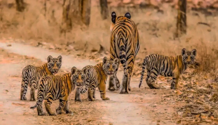 road trips from agra,places to visit near agra,weekend getaways from agra,budget travel from agra,taj mahal agra,agra travel guide,road trip ideas under 4000 rupees,agra nearby attractions,historical places near agra,best short trips from agra,travel destinations near agra