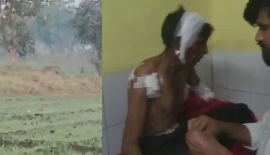 झालावाड़: मकोड़िया गांव में खेत जाते समय किसान पर पैंथर ने किया हमला, गंभीर रूप से घायल
