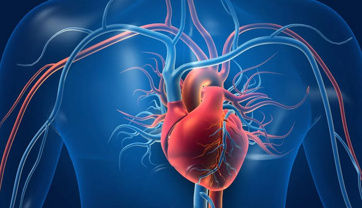 health benefits of papaya,papaya,Health tips,fitness tips