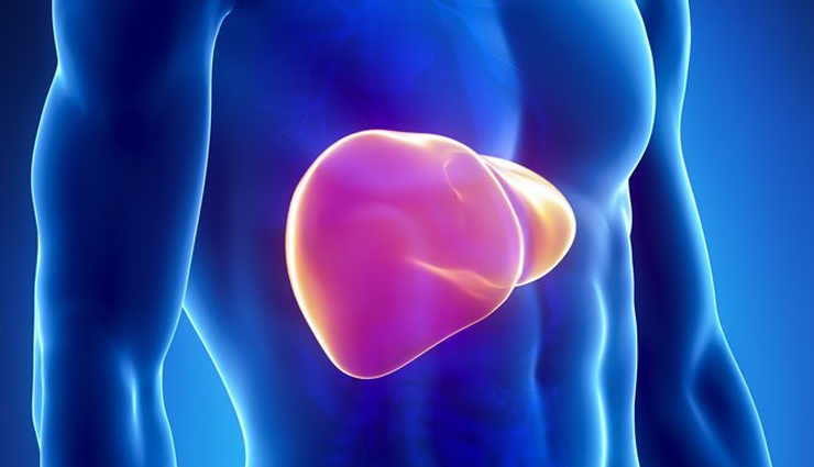 health benefits of papaya,papaya,Health tips,fitness tips