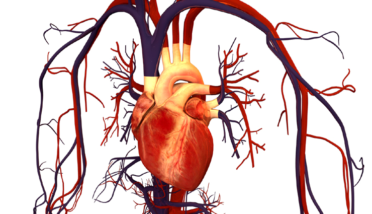 papaya,health benefits of papaya,healthtips,fitness tips