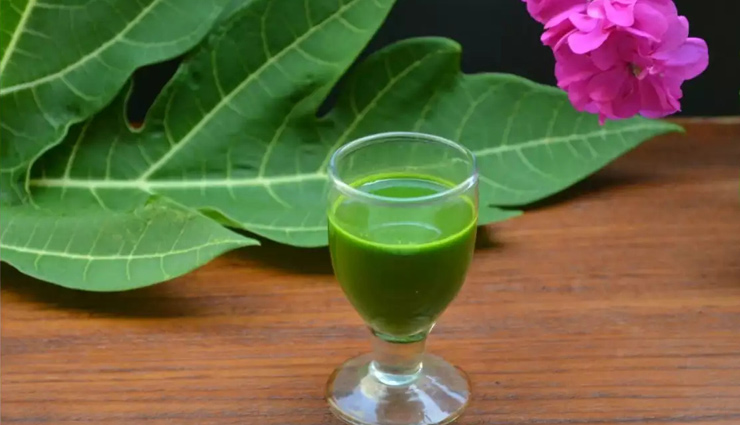 dengue home remedies,traditional remedies for dengue,natural dengue treatment,home remedies for dengue fever,dengue symptom relief,papaya leaves for dengue,neem leaves dengue remedy,ginger tea for dengue,turmeric milk for dengue,garlic for immunity