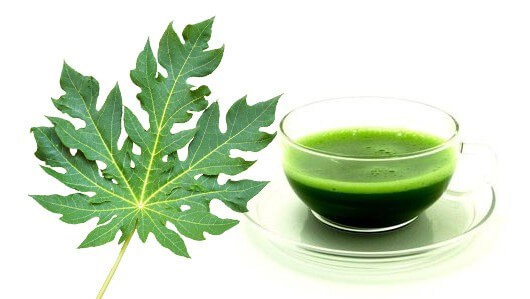 improve immunity,papaya leaves,Health tips,quick health tips,Health,simple health tips