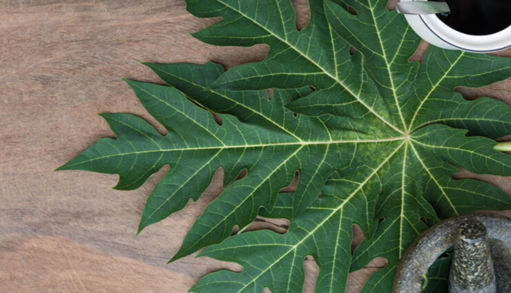 white blood cell,home remedies to increase white blood cell,natural way to increase white blood cell,health tips to increase white blood cell,Health,Health tips