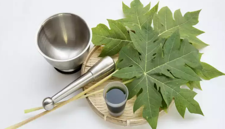 5 Health Benefits of Consuming Papaya Leaves