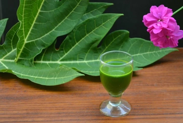 papaya leaves,papaya leaves for cancer,Health tips,world cancer day 2019