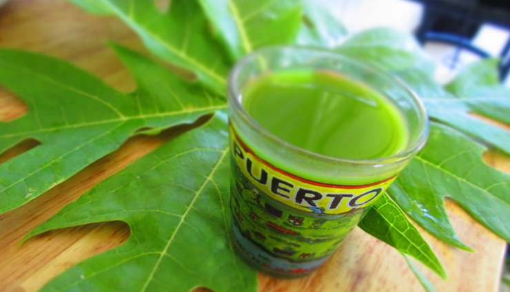 World Cancer Day 2019: कैंसर जैसी घातक बिमारी से बचाते है पपीते के पत्ते, करते है आपकी इम्युनिटी को बूस्ट 