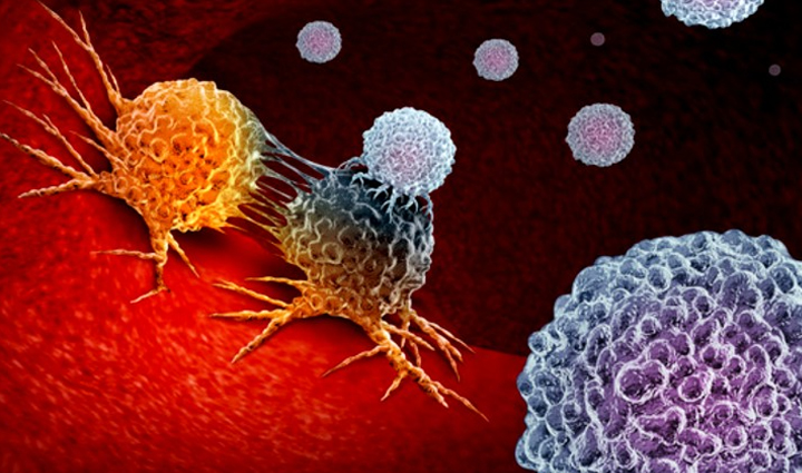 consuming papaya in winter is very beneficial health gets these benefits,Health,healthy living