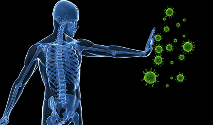 consuming papaya in winter is very beneficial health gets these benefits,Health,healthy living