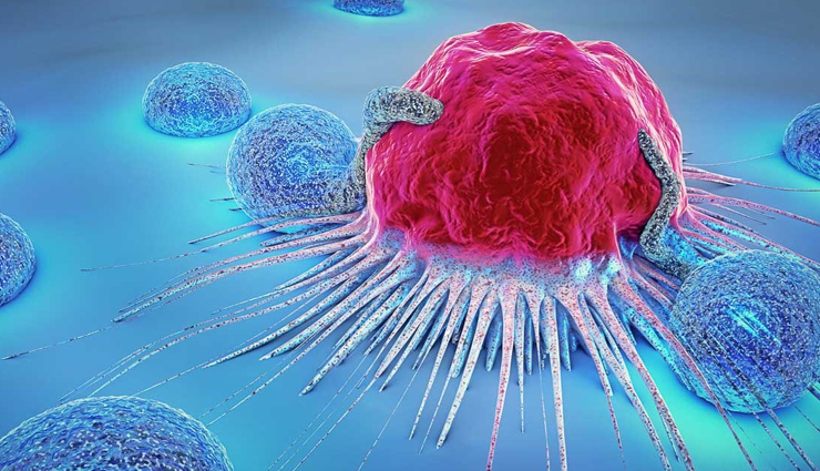 health benefits of paprika,paprika,Health tips,fitness tips