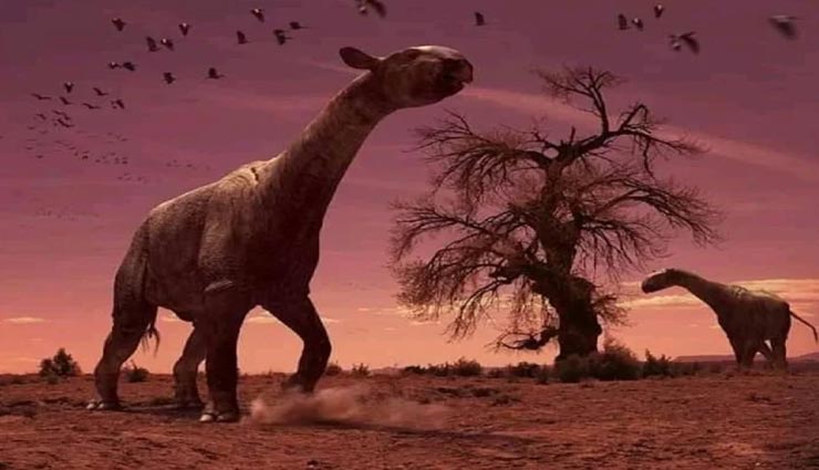 डायनासोर युग के है ये रहस्यमयी जानवर, ऊंचाई करीब 40 फीट