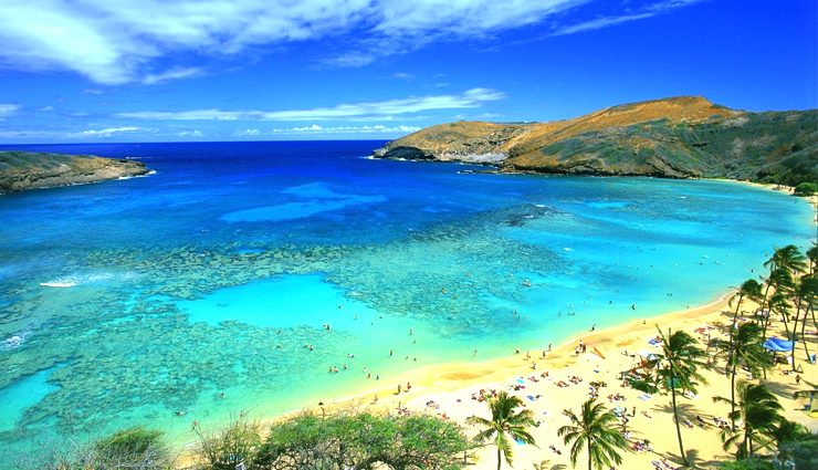 must-visit beaches in south india,top south indian beaches to explore,best coastal destinations in south india,south india must-see beach spots,beach travel in south india,unmissable beaches of south india,exploring the finest beaches in south india,coastal gems to visit in south india,south india beach tourism,popular beaches to see in south india,scenic beach getaways in south india,south india beach travel highlights,beach vacation spots in south india,south india picturesque beach destinations,coastal wonders you must visit in south india,discovering south india stunning beaches,south india top beach experiences,planning your beach trips in south india,ultimate beach destinations in south india