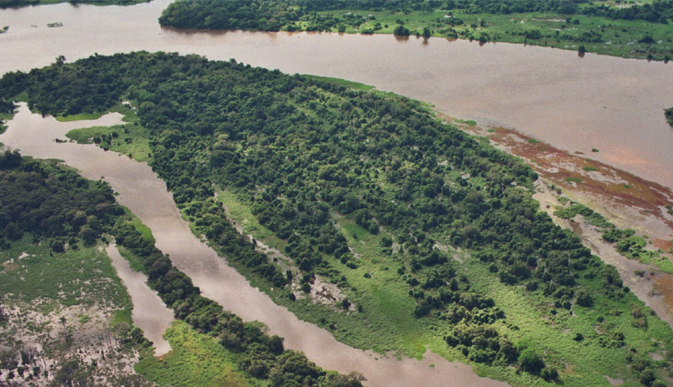 longest rivers in the world,top 10 world longest rivers,major rivers on earth,river length records,nile,amazon,yangtze: longest rivers,geography of longest rivers,historical significance of great rivers,exploring earth lengthy waterways,river ecosystems and biodiversity,cultural impact of long rivers