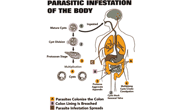 Health tips,healthy living,5 weight loose diseases,what are you suffering from when you loose weight,know what you are suffering from when you loose weight