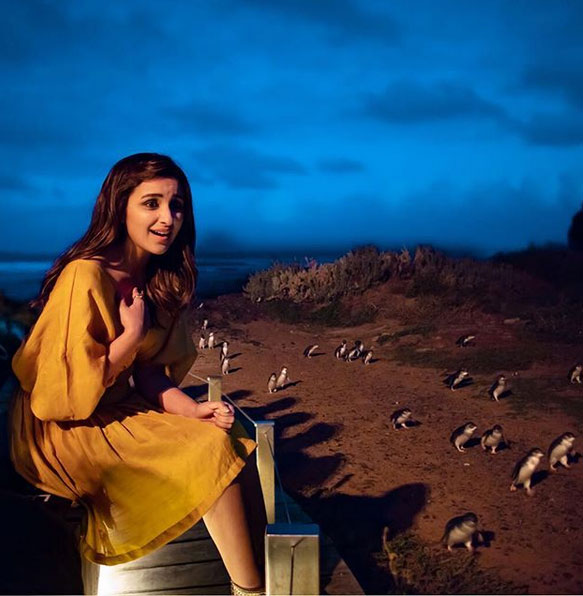 parineeti chopra vacations pics,parineeti chopra in melbourne,melbourne,entertainment news