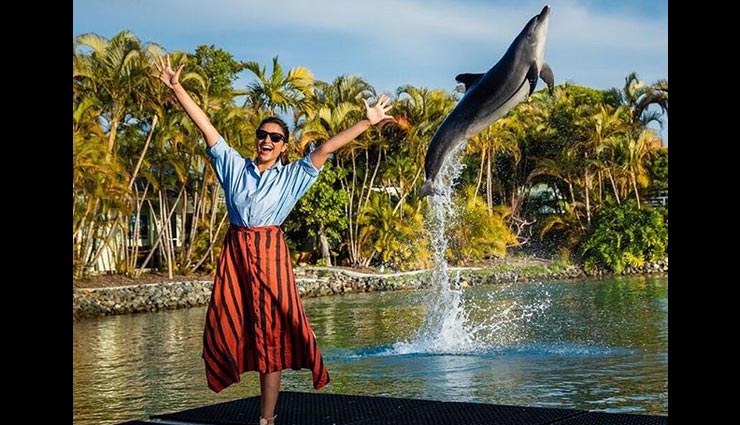 parineeti chopra,parineeti chopra instagram pics,parineeti chopra latest pics,parineeti chopra viral pics,bollywood