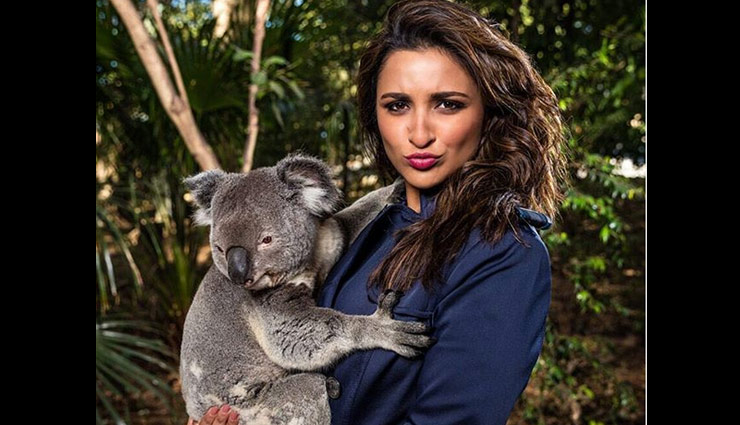 parineeti chopra,parineeti chopra instagram pics,parineeti chopra latest pics,parineeti chopra viral pics,bollywood