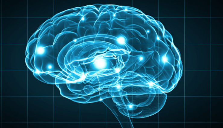 nutritional benefits of fava beans,fava beans nutrition facts,health benefits of fava beans,fava beans and their nutrients,fava beans dietary advantages,protein and fiber in fava beans,fava beans as a protein source,dietary fiber in fava beans,protein-rich fava beans benefits,fava beans for digestive health,fava beans for heart health,fava beans and heart health,cardiovascular benefits of fava beans,fava beans and cholesterol levels,heart-healthy nutrients in fava beans,fava beans for blood sugar control,fava beans and blood sugar,managing diabetes with fava beans,fava beans and glycemic control,fava beans in a diabetic diet,fava beans for bone health,fava beans and bone density,nutrients for strong bones in fava beans,fava beans and osteoporosis prevention,calcium and phosphorus in fava beans,antioxidant properties of fava beans,antioxidants in fava beans,fava beans and free radicals,fava beans for skin health,antioxidant-rich foods: fava beans