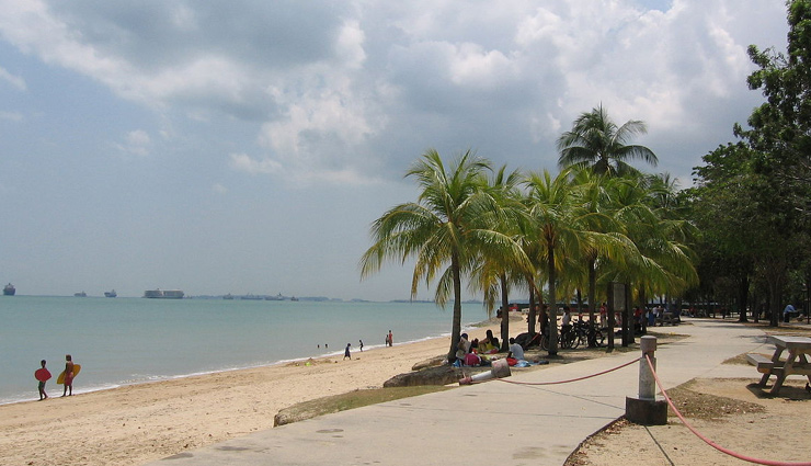 gardens by the bay,east coast park,macritchie reservoir park,singapore botanic gardens,bishan-ang mo kio park,parks to visit in singapore,singapore