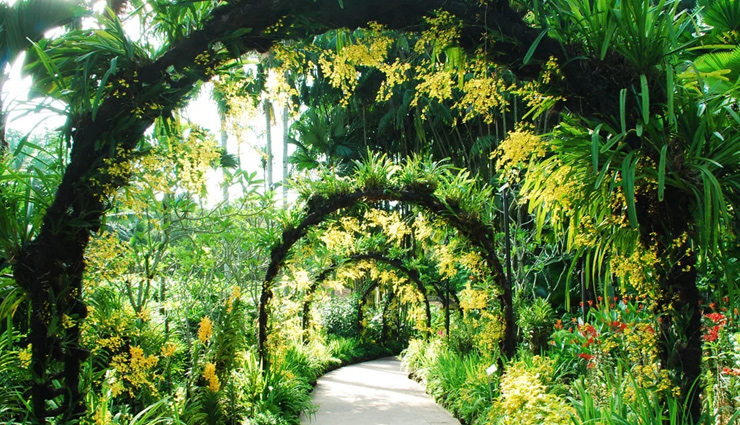 gardens by the bay,east coast park,macritchie reservoir park,singapore botanic gardens,bishan-ang mo kio park,parks to visit in singapore,singapore