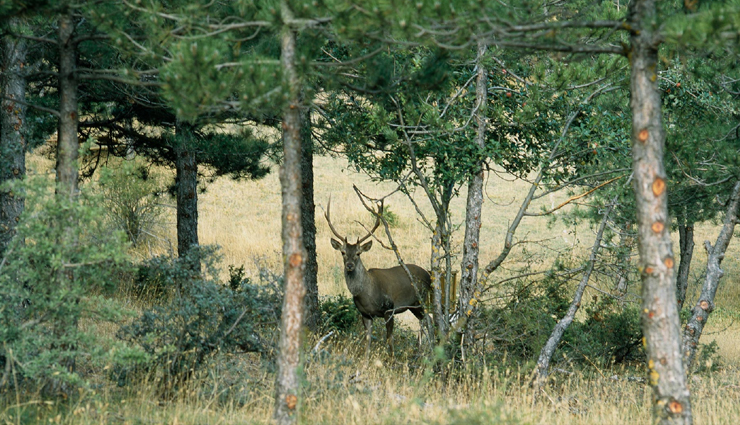 national parks of greece,7 most visited national parks of greece,national parks in greece,greece national parks,holidays in greece,travel,travel tips