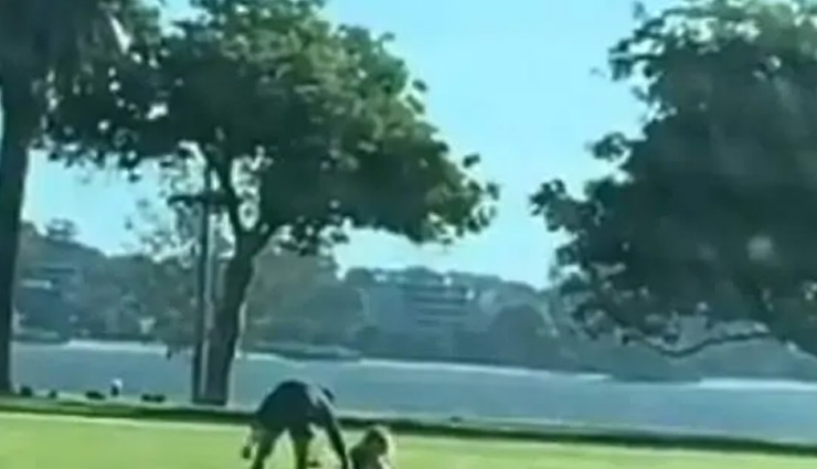 woman,make out,bus,boyfriend,morning,intimate,weird news in hindi