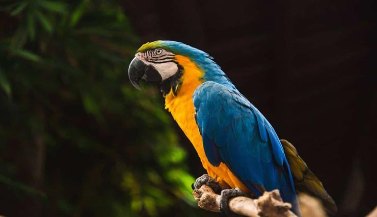 अब पाकिस्तान से सामने आई अमानवीयता की अनोखी तस्वीर, बच्ची की छोटी सी गलती ने पहुंचाया उसे अस्पताल