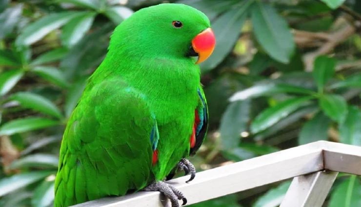 vastu tips,vastu tips in hindi,wealth and prosperity,positivity in life