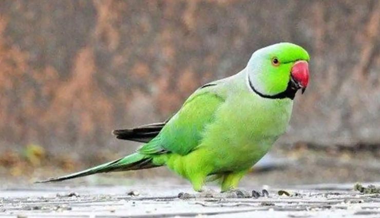 vastu tips,vastu tips in hindi,sign of money