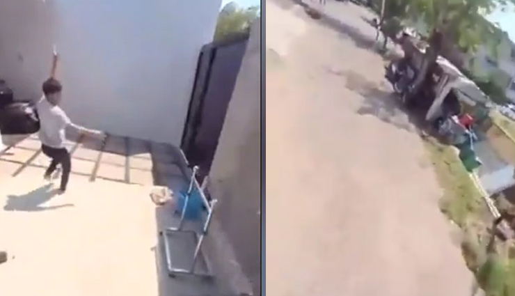 लड़के से मोबाइल छीनकर तोते ने बनाया वीडियो, सोशल मीडिया पर हुआ वायरल