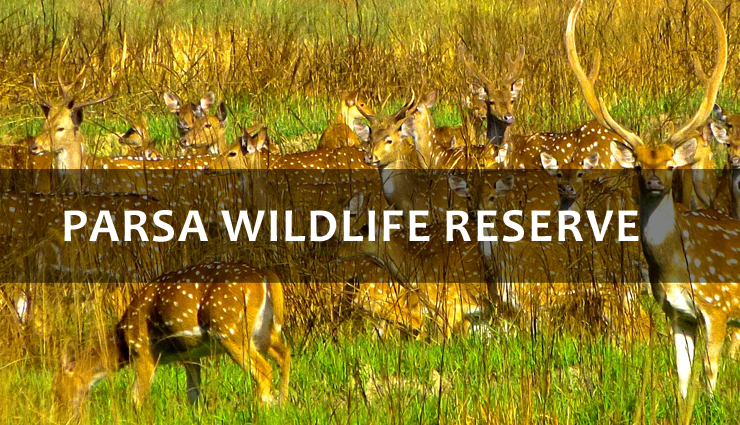 wildlife sanctuaries to visit in nepal,best wildlife sanctuaries to visit in nepal,7 best wildlife sanctuaries to visit in nepal,chitwan national park,parsa wildlife reserve,shukla phanta wildlife reserve,sagarmatha national park,makalu barun national park,annapurna conservation area,kanchenjunga conservation area,nepal travel,holidays,travel guide,travel tips