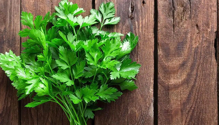 health benefits of parsley,parsley,Health tips,fitness tips