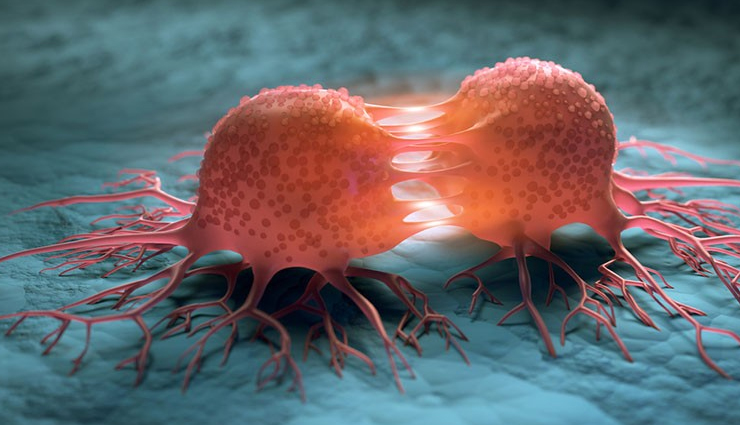 parsley leaves,health benefits of parsley leaves,Health tips,fitness tips