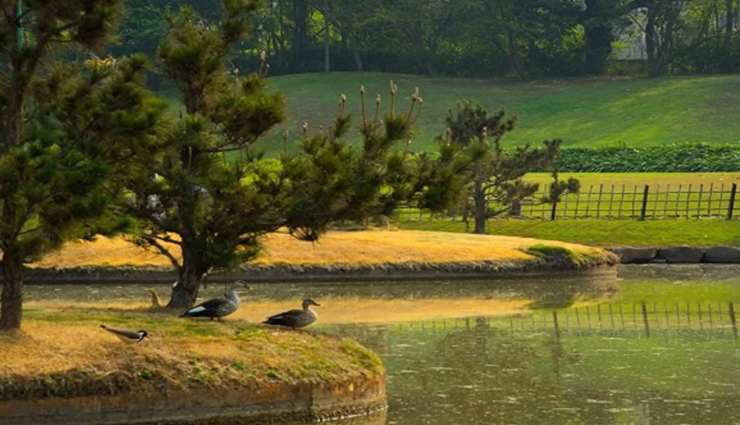 bird watching,bird watching near pune,pune travel tips,pune travel,travel places in pune,travel,tourism