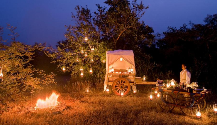 luxury jungle lodges in india,exotic wilderness experiences,super luxurious jungle retreats,premium wildlife lodgings,high-end jungle accommodations,india luxury eco lodges,exclusive jungle getaways,opulent forest lodges,top-tier exotic stays,ultra-luxurious indian jungle escapes