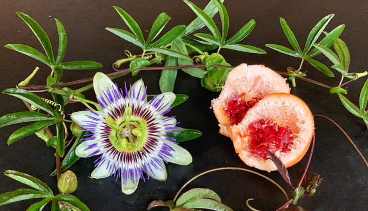 bipolar disorder,bipolar disorder treatment,bipolar disorder symptoms,bipolar disorder test,bipolar disorder definition,bipolar disorder treatment,bipolar disorder and alcohol,bipolar disorder assessment,bipolar disorder causes,bipolar disorder criteria,bipolar disorder case study,vitamin c bipolar disorder,hepatitis c bipolar disorder,bipolar disorder diagnosis,bipolar disorder depression,bipolar disorder disability,Health,Health tips