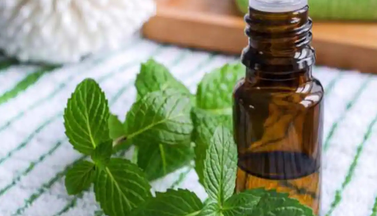 oil for healthy scalp,essential oil for scalp,oil for scalp,hair care tips,scalp care tips,lavender essential oil,khus essential oil,rosemary essential oil,chamomile essential oil,ylang ylang essential oil,peppermint essential oil,cedarwood essential oil,petitgrain essential oil,clary sage essential oil,patchouli essential oil,beauty,beauty tips,hair care beauty tips