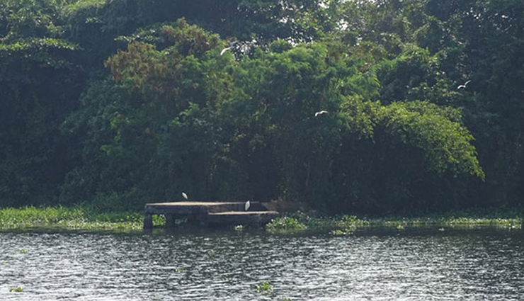 alleppey monsoon travel,best places to visit in alleppey during monsoon,rainy season attractions in kerala,alleppey backwaters in monsoon,monsoon tourism in kerala,off-season travel in alleppey,alleppey houseboat experience,alleppey beach in monsoon,waterfalls in alleppey,monsoon activities in alleppey