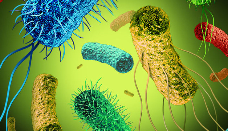 black seed oil benefits,black seed oil for skin,black seed oil capsules,black seed oil benefits for men,black seed oil for hair,side effects of black seed oil,how to use black seed oil,black seed oil,health benefits of black seed oil,black seed oil health benefits,healthy food black seed oil,Health,Health tips