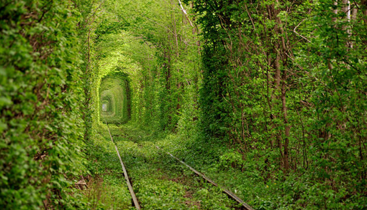 beautiful paths,beautiful paths in the world,wisteria tunnel,japan,plitvice lakes paths,croatia,bamboo path,japan,tunnel of love,ukraine,haikū stairs,hawaii,santorini path,greece