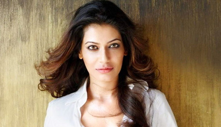 payal rohatgi,veena malik,indian army,jammu kashmir,article 370,malala,article 370 news in hindi,entertainment