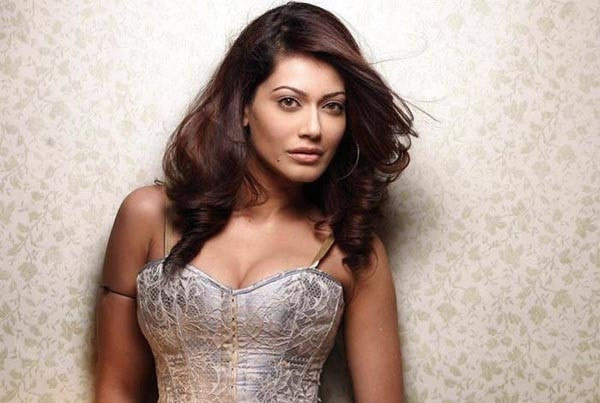 बिग बॉस के अब तक के सफ़र की ये है 8 कातिल हसीनाएं hottest divas of bigg boss,bigg boss contestants,bigg boss,hottest divas