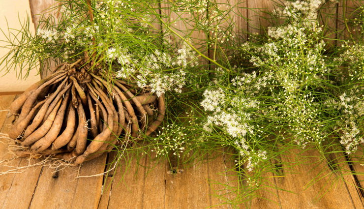 ayurvedic herbs,ayurvedic herbs for pcos. pcos,Health tips,women health,fitness tips